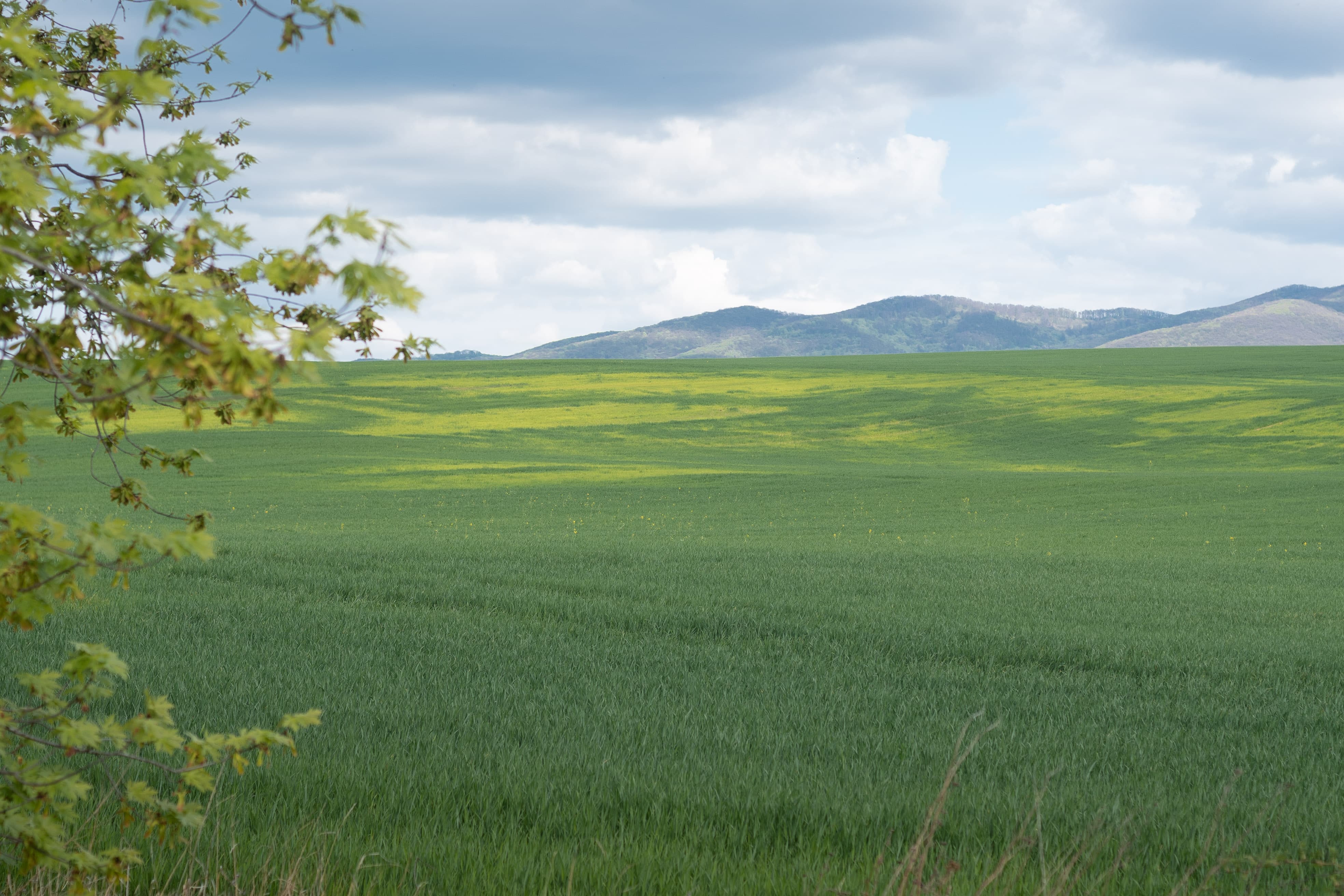 green fields slovakia green fields slovakia