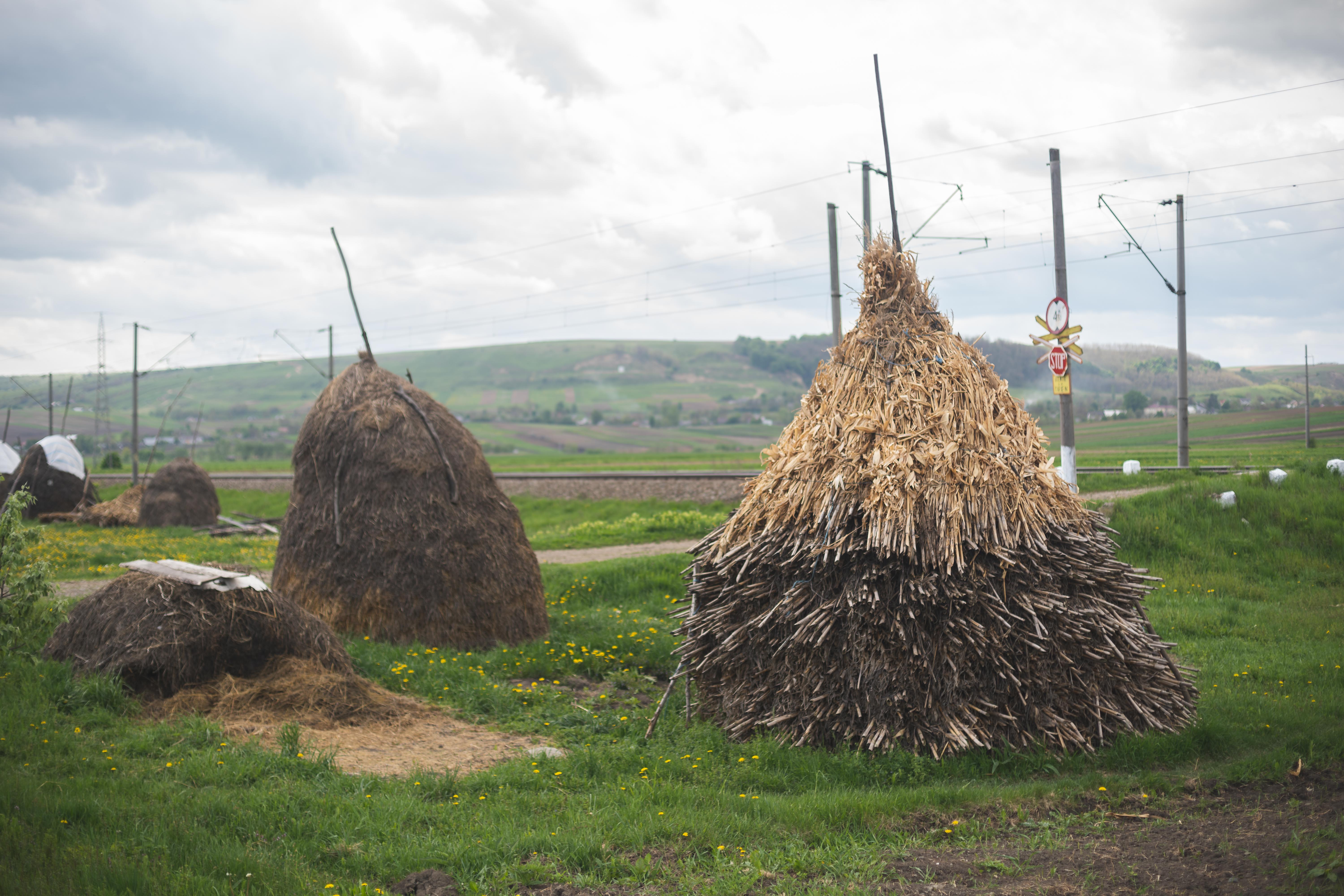 alongtheearth_hay