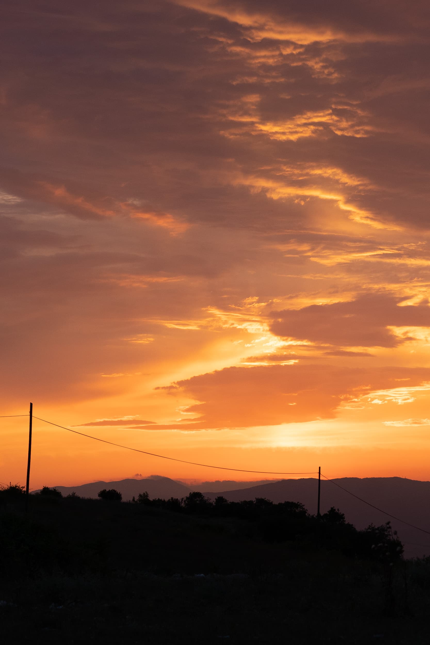 golden sky turkey golden sky turkey