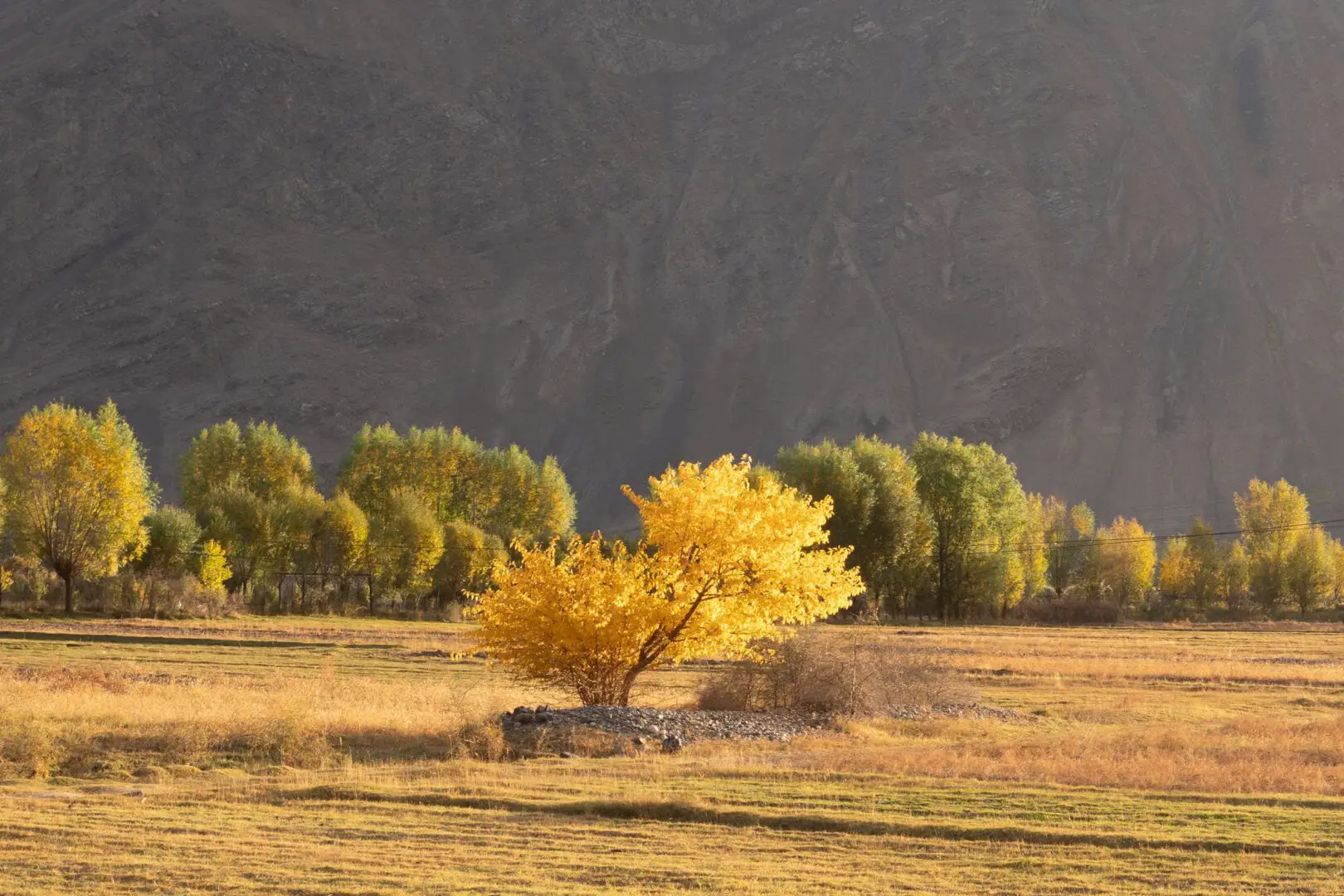 Colorful Pamir Highway
