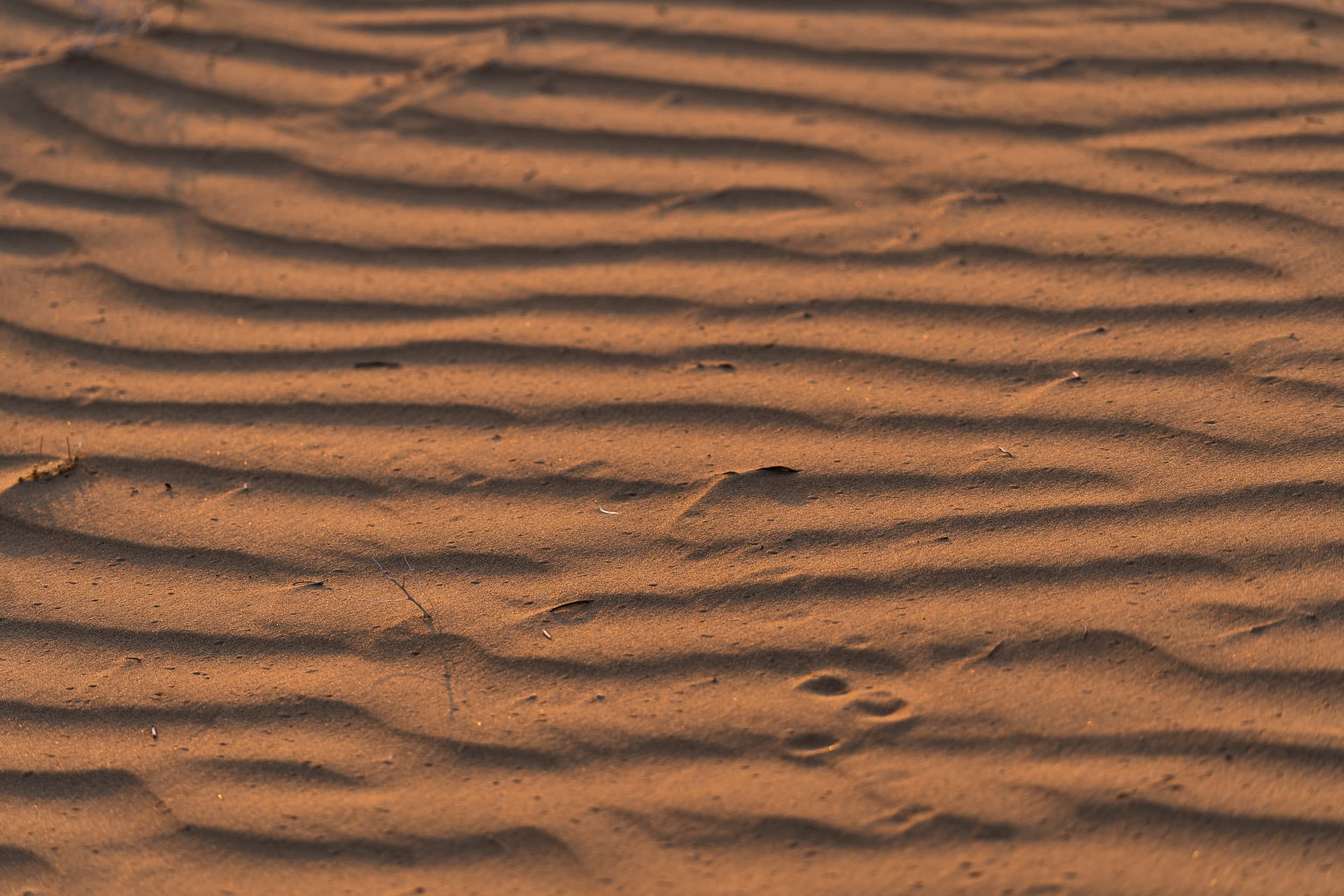 patterns of the desert