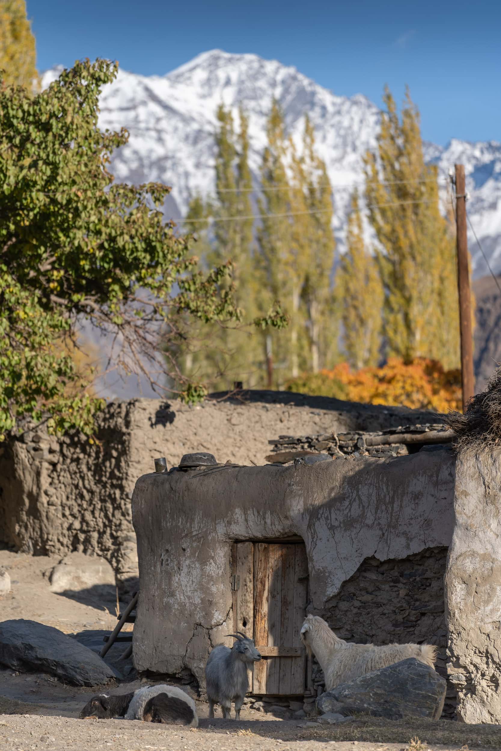 Bartang Valley Village Pamir Highway Bartang Valley Village Pamir Highway