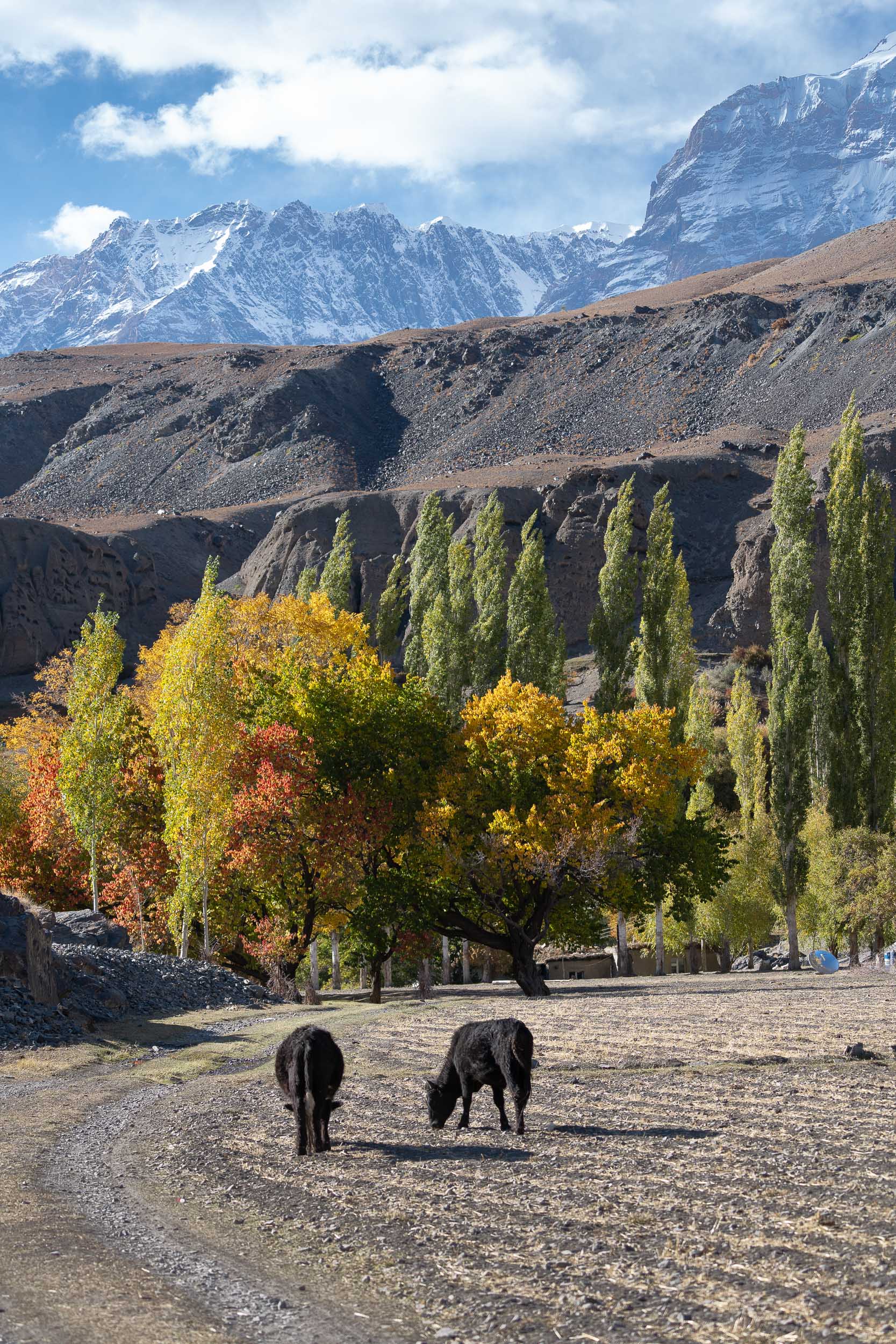 Savnob Bartang Valley Savnob Bartang Valley