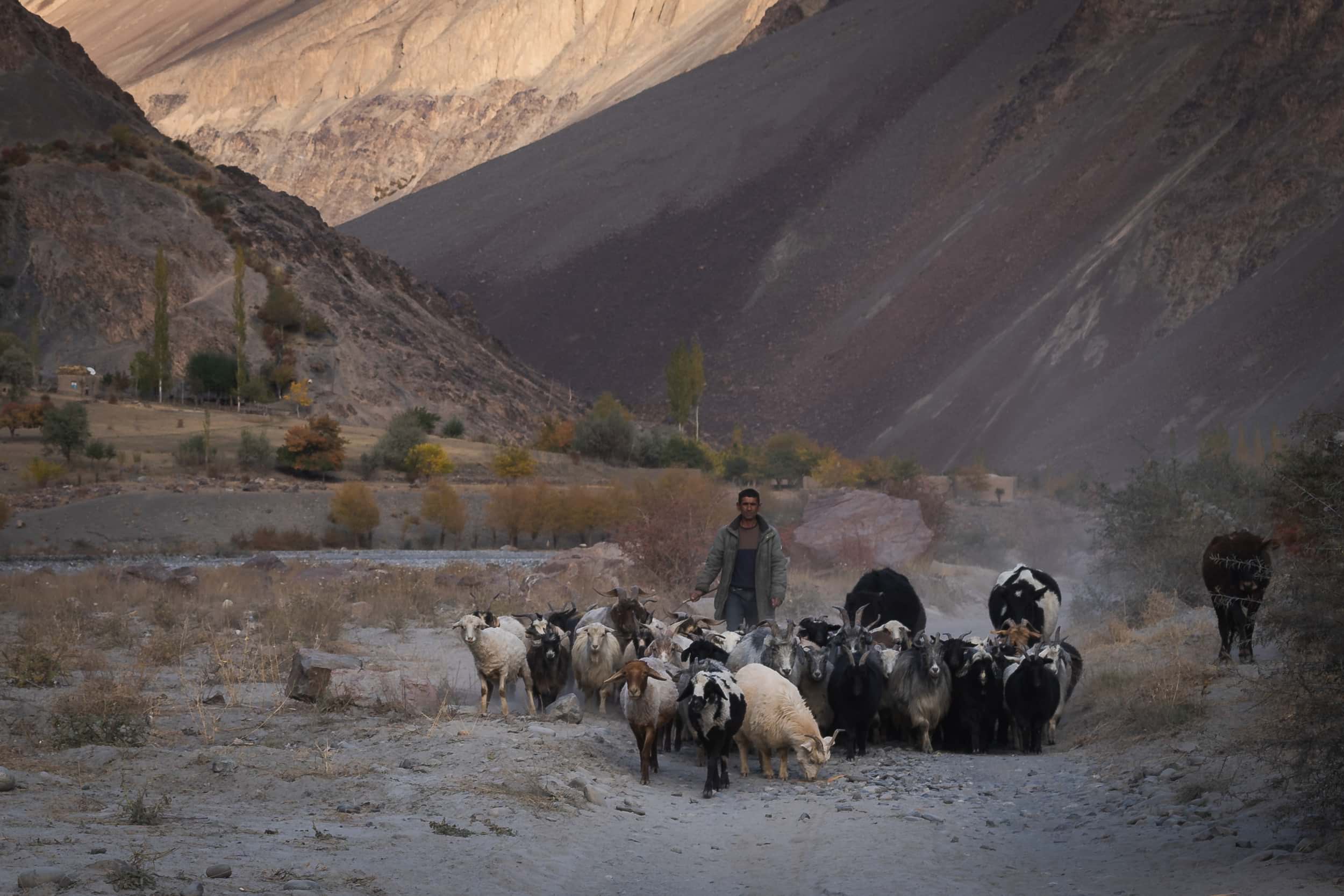 Sheperds Tadjikistan Pamir Highway Bartang Valley Sheperds Tadjikistan Pamir Highway Bartang Valley