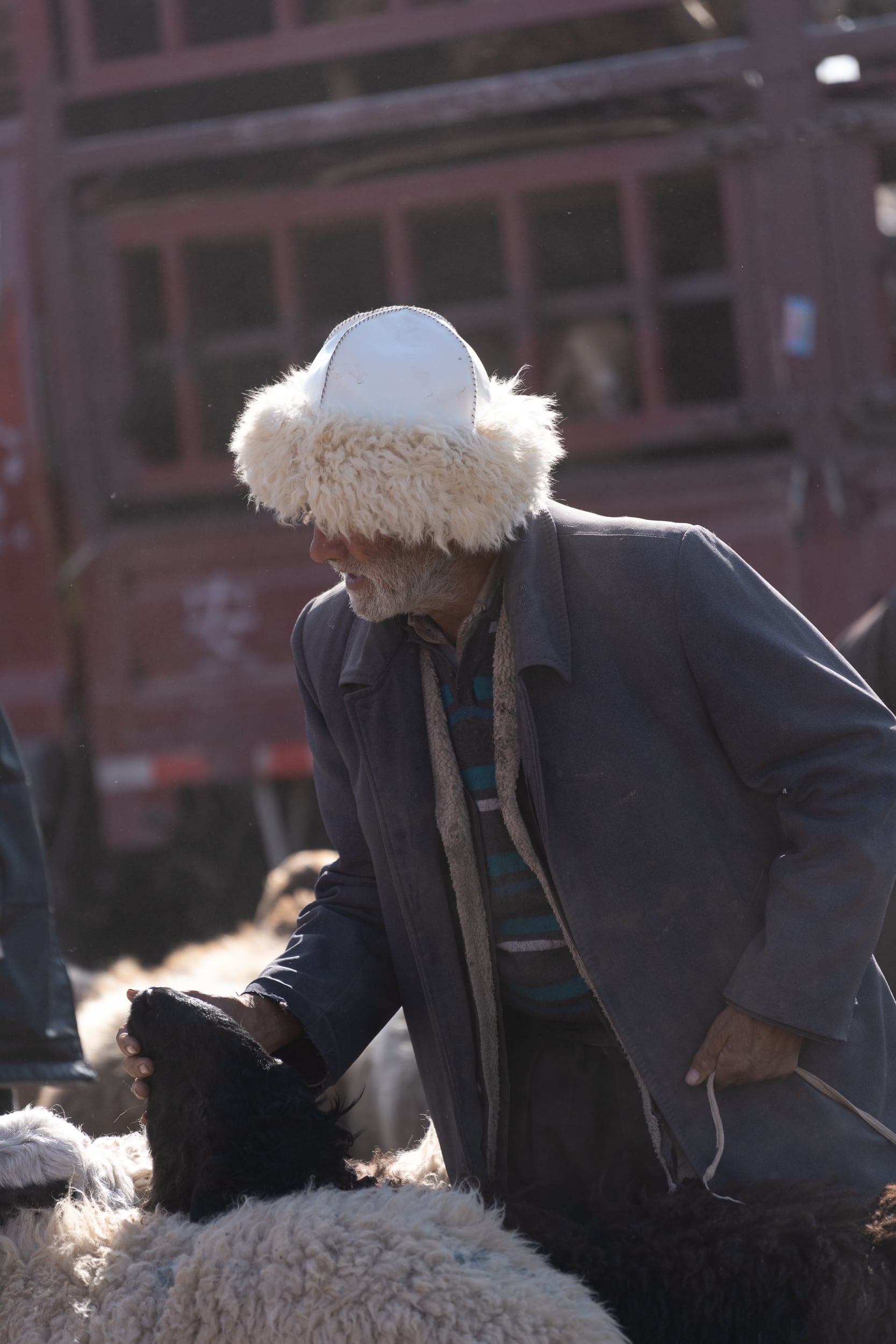 Kashgar man Kashgar man