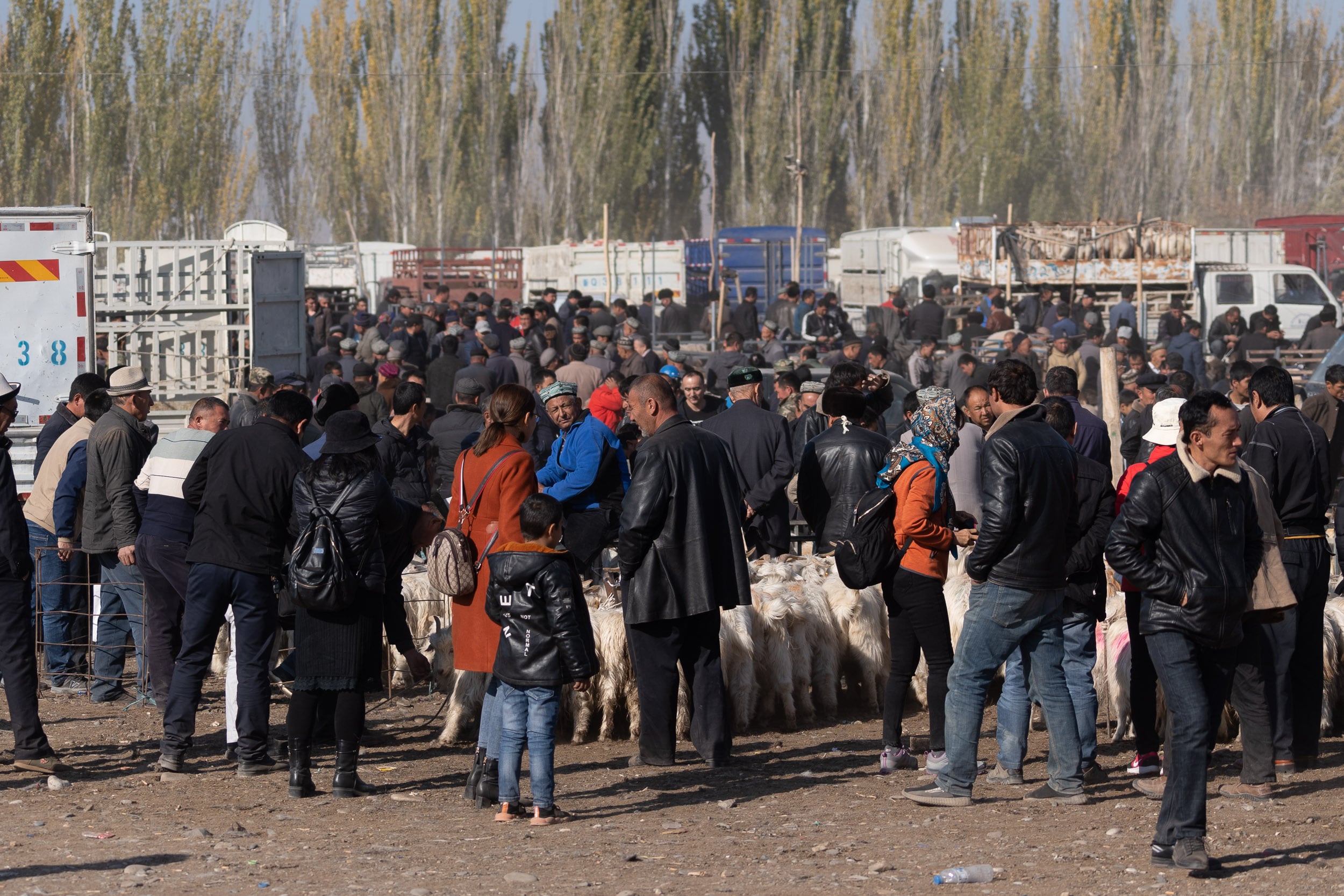 livestock market Kashgar