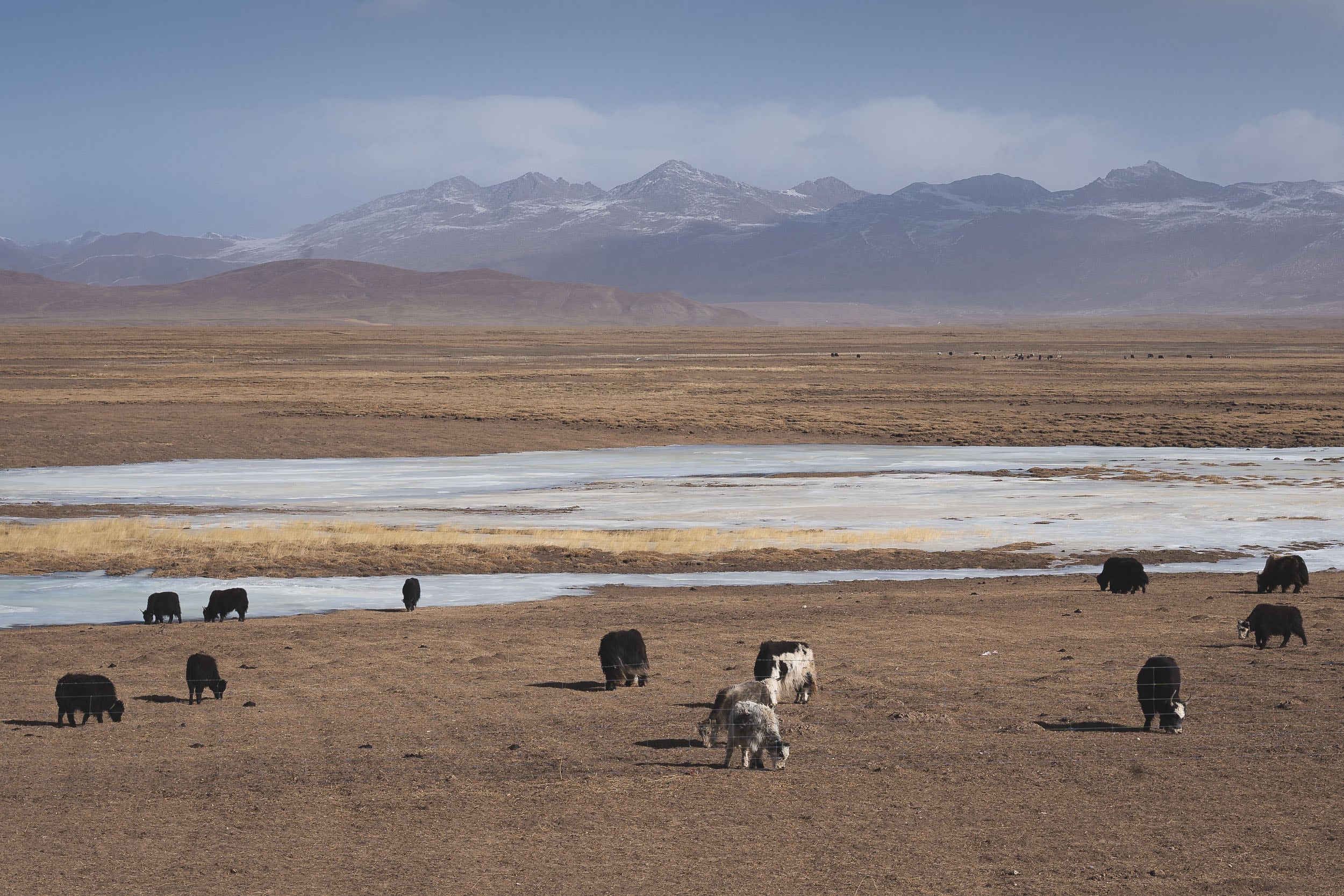 the tibetan plateau the tibetan plateau