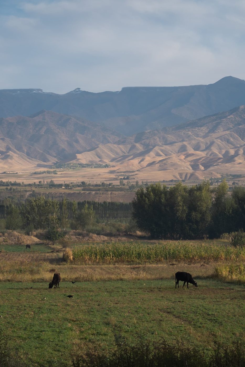 Tadjikistan-mountain-scenery